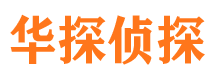 乐山市调查公司